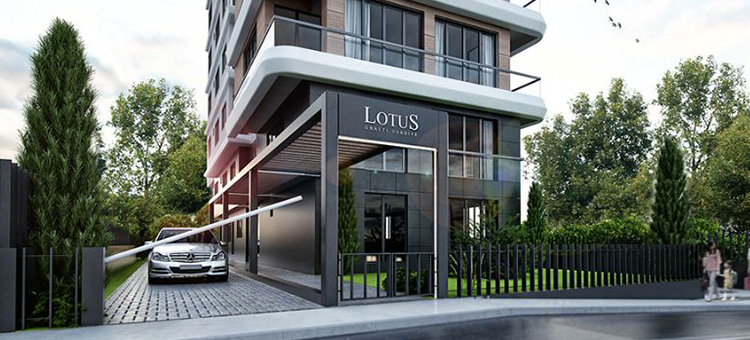 Project image 10