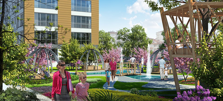 Project image 11
