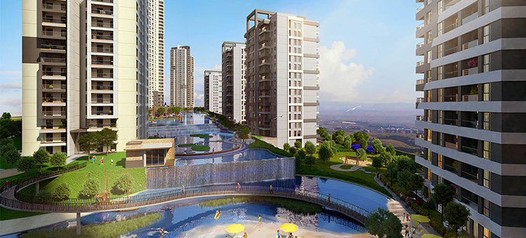 Project image 21