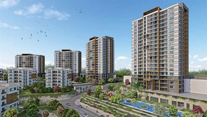 Project image 10