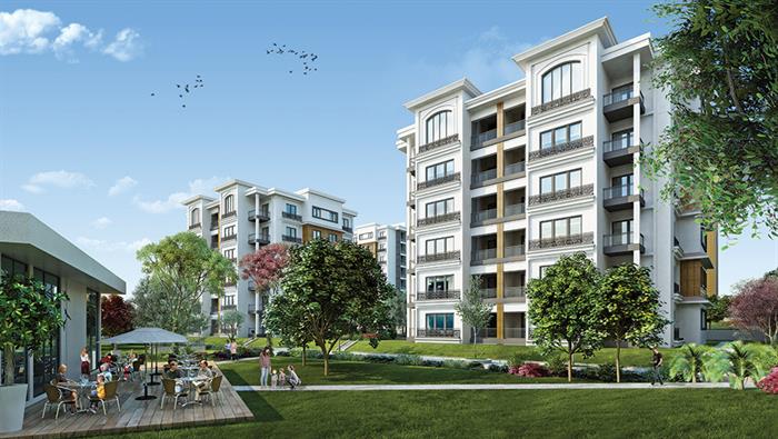 Project image 22