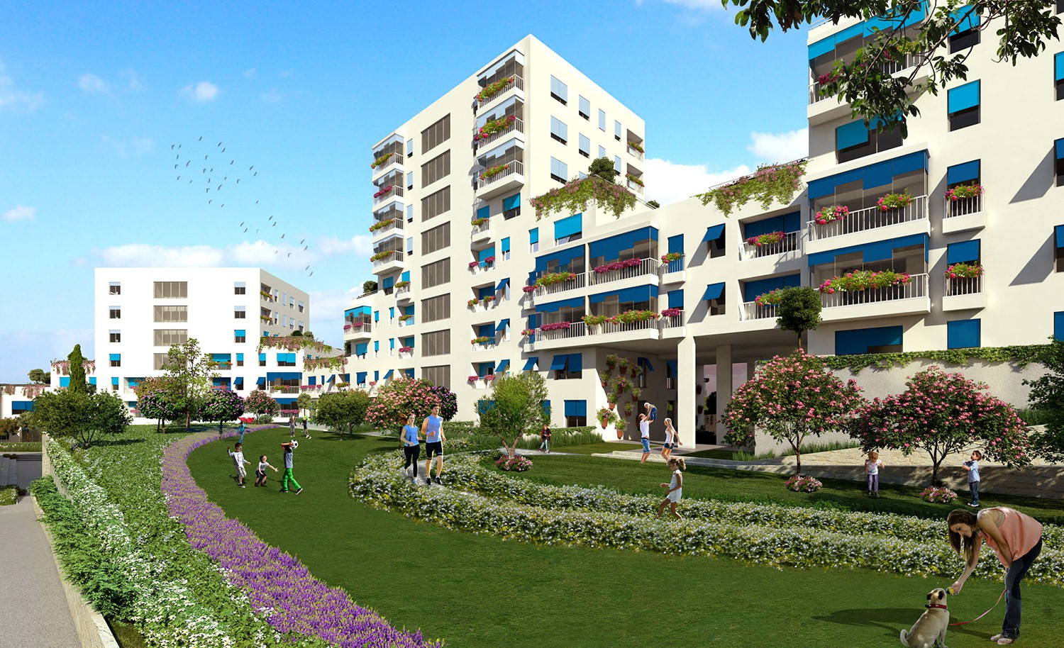 Project image 9