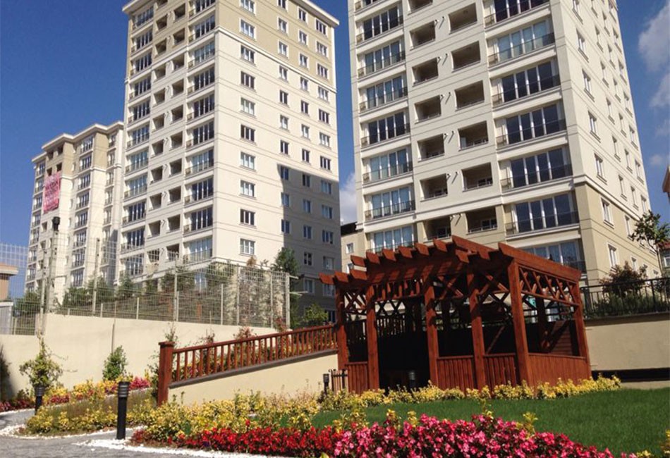 Project image 10