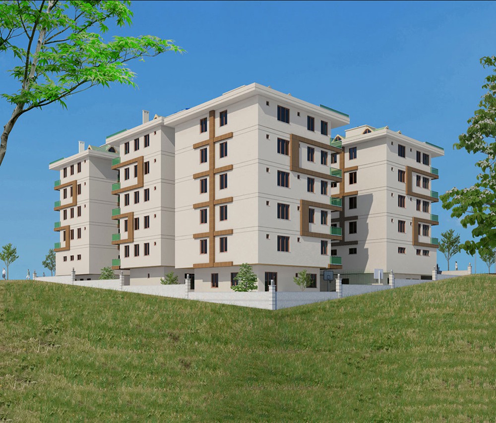 Project image 9