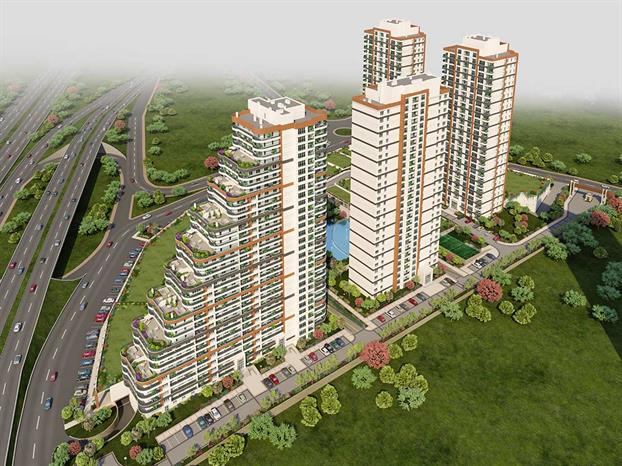 Project image 10
