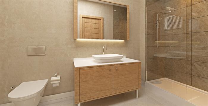Project image 12