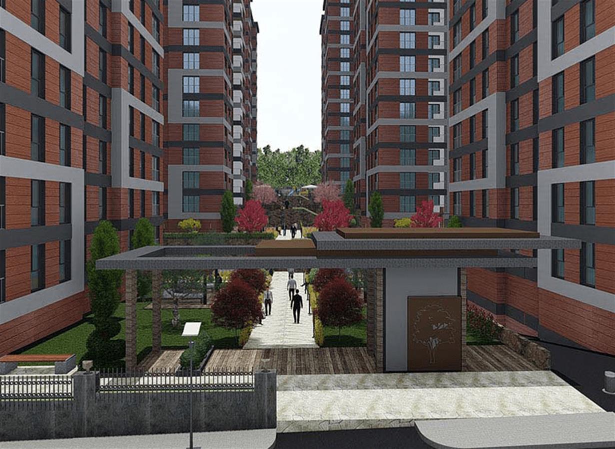 Project image 11