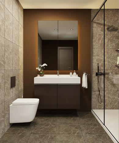 Project image 15