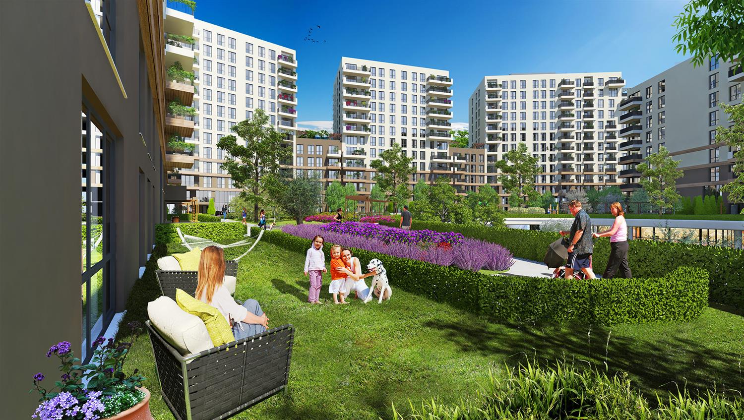 Project image 11