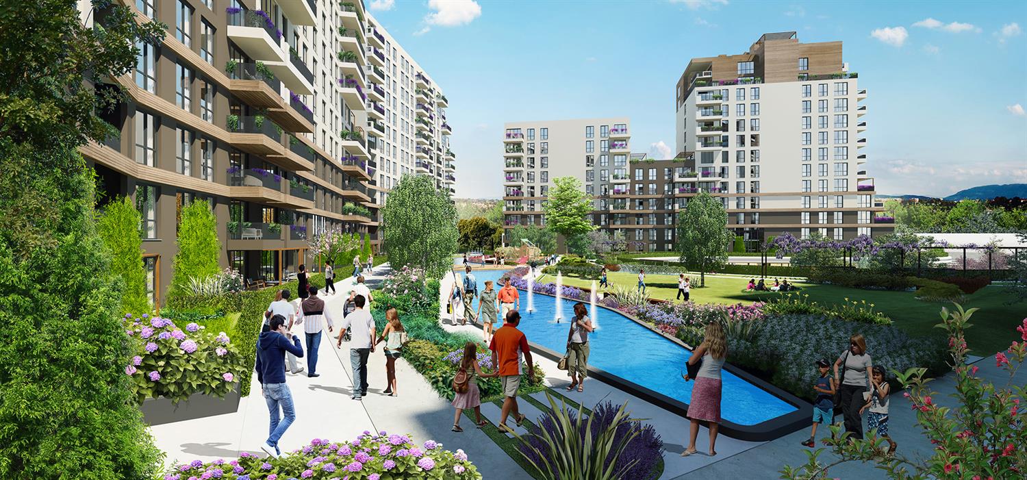Project image 9