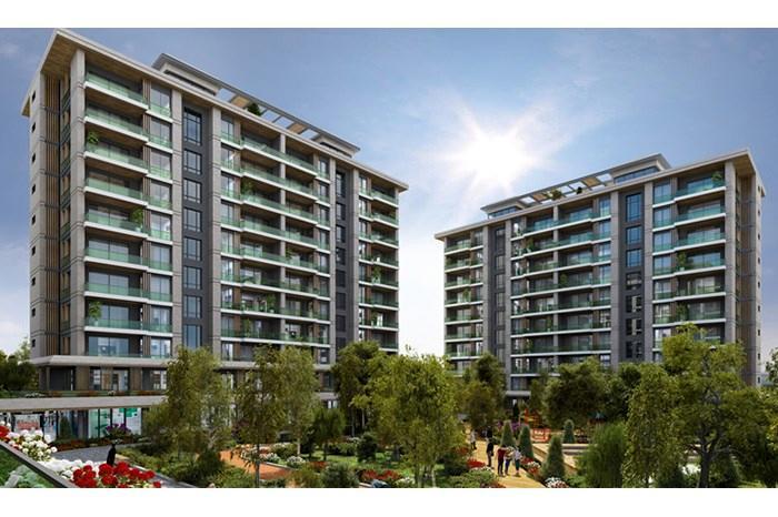 Project image 11
