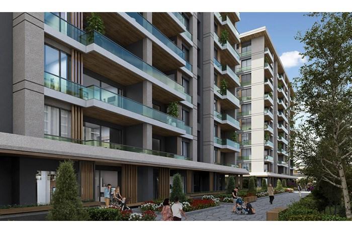 Project image 12