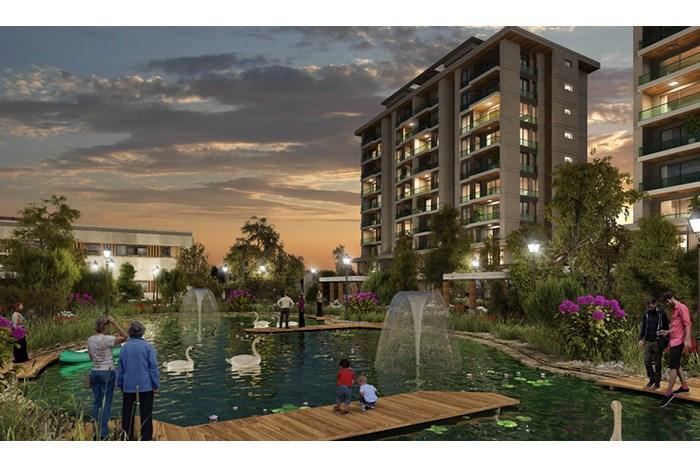 Project image 13
