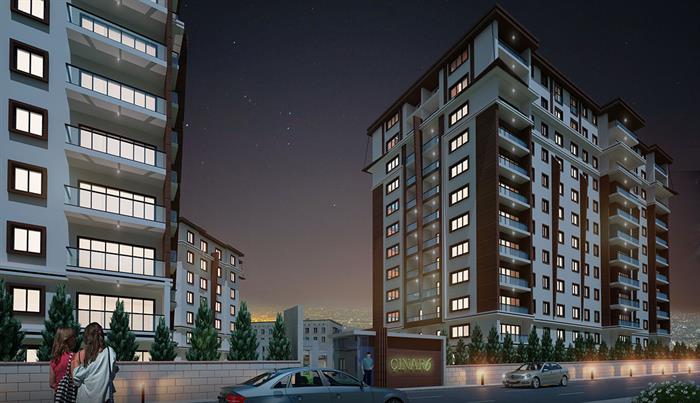Project image 11