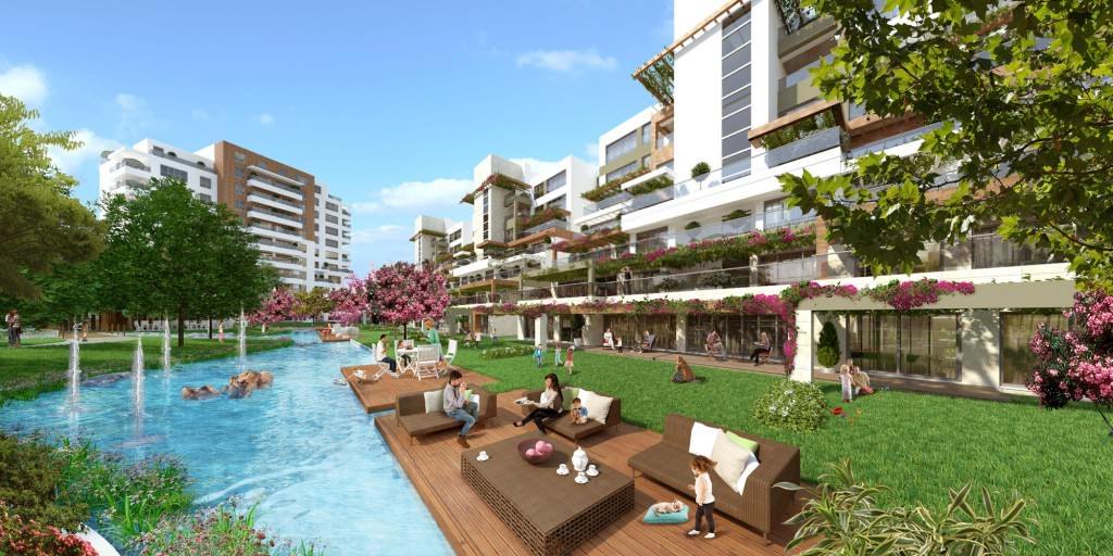 Project image 11