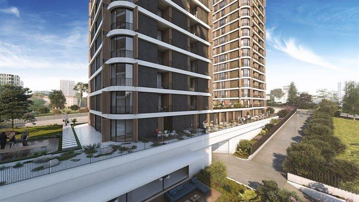 Project image 15