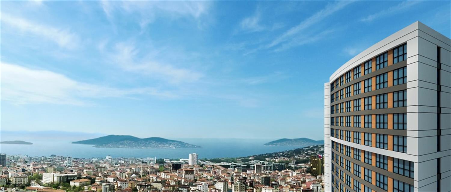 Project image 16