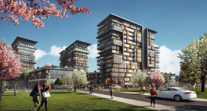 Project image 10