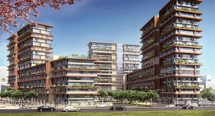 Project image 11