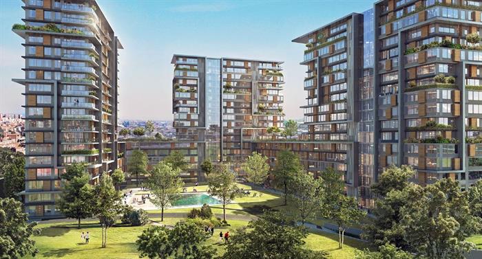 Project image 19