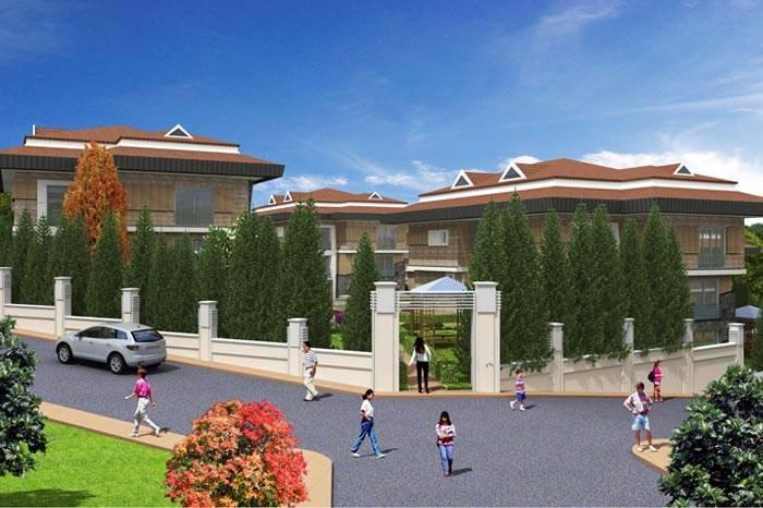 Project image 11