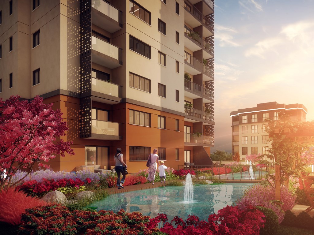 Project image 12