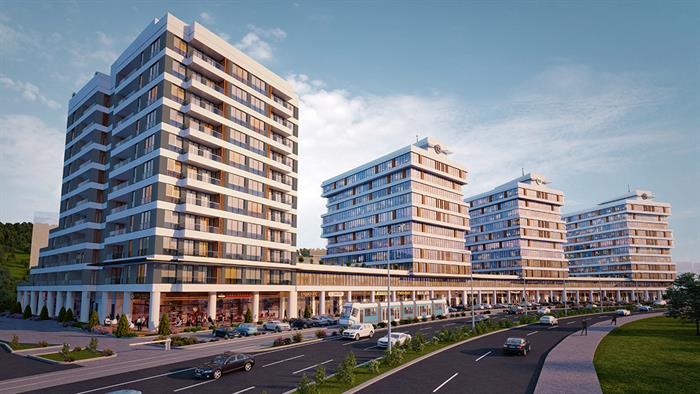 Project image 10