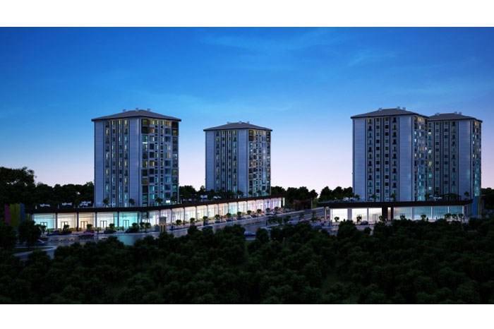 Project image 13