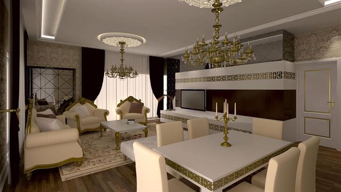 Project image 17