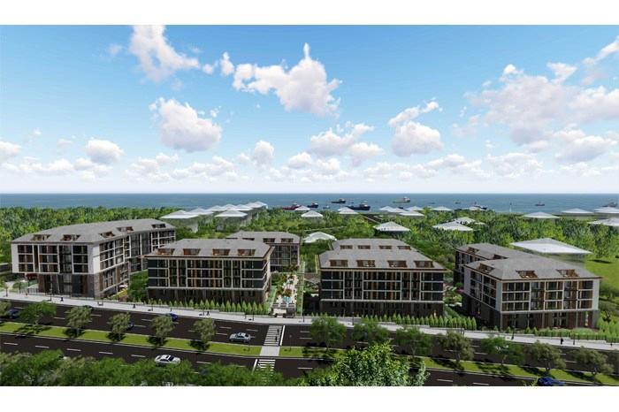 Project image 10