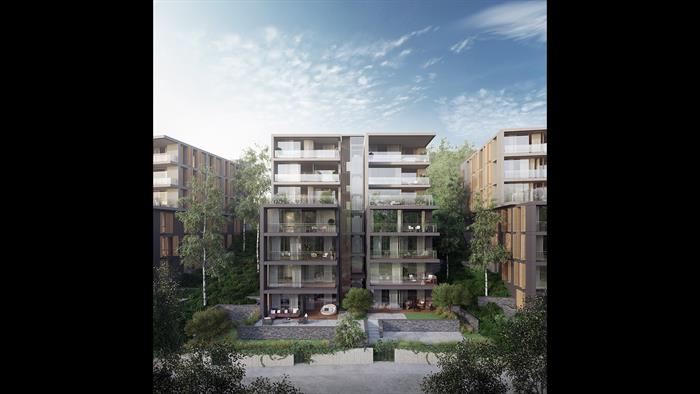 Project image 19