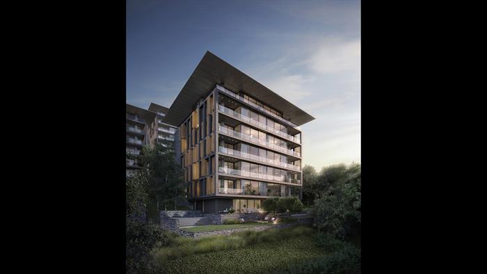 Project image 13