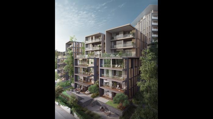 Project image 16