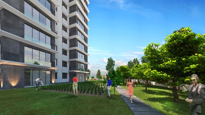 Project image 11