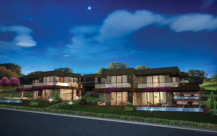 Project image 9