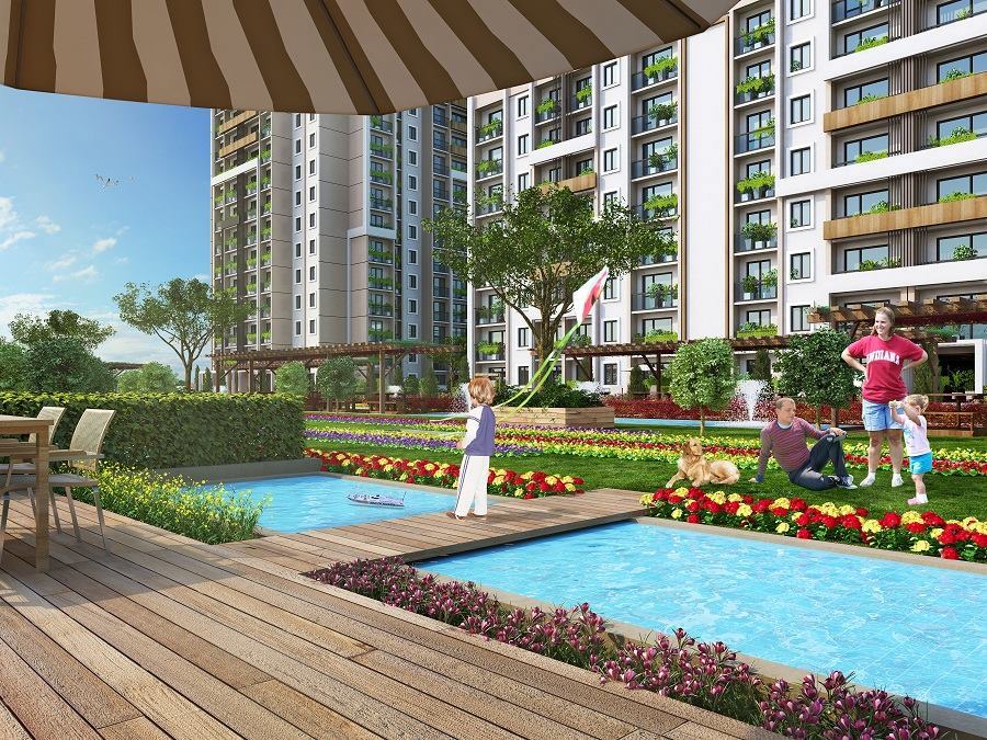 Project image 11