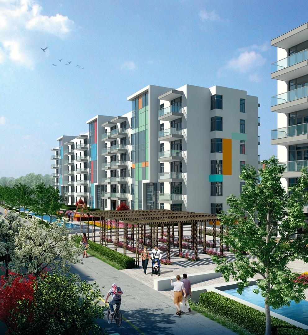 Project image 11