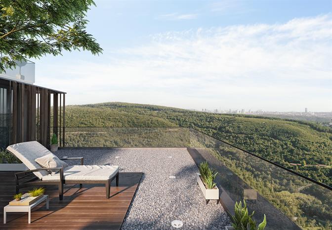Project image 11