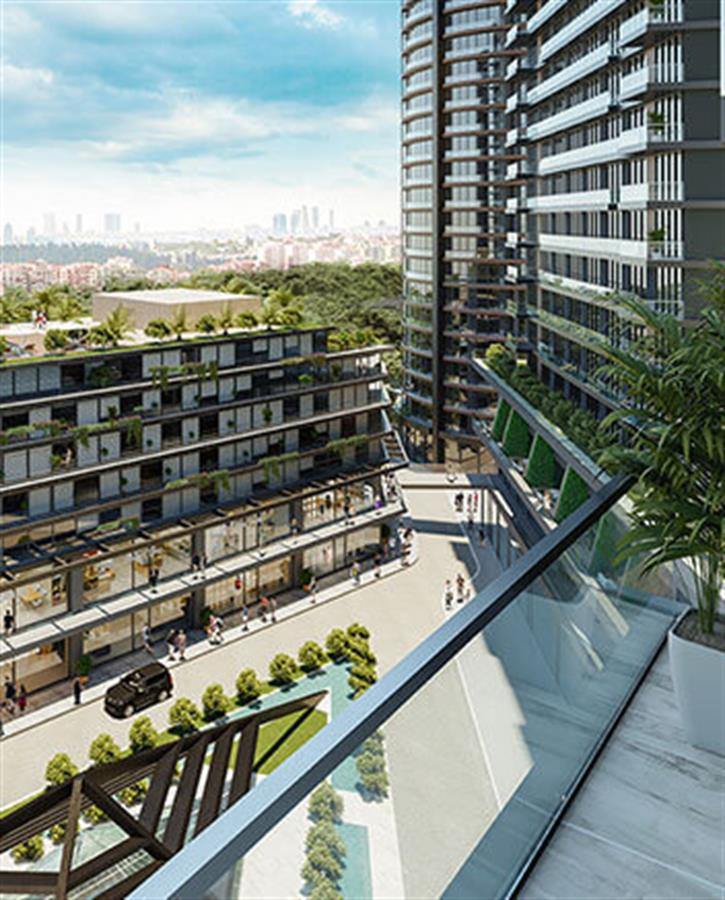 Project image 13