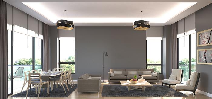 Project image 11