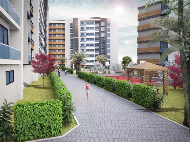 Project image 10
