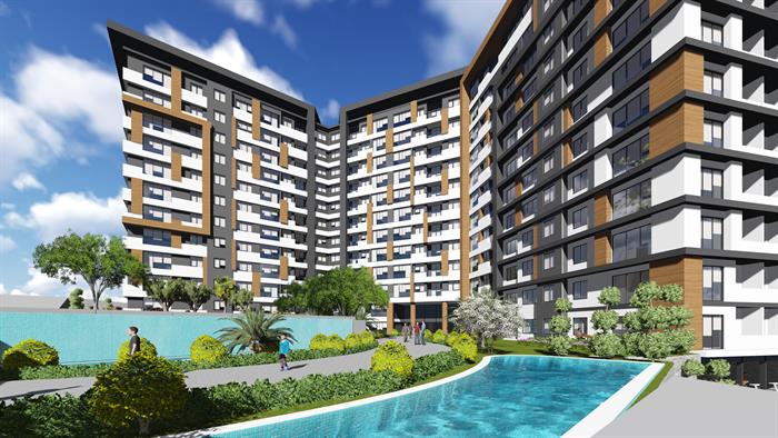 Project image 10