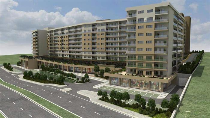 Project image 10