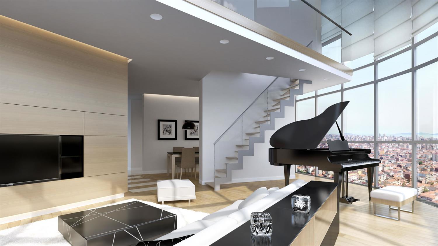 Project image 11