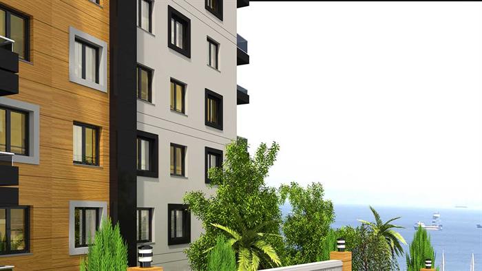 Project image 11