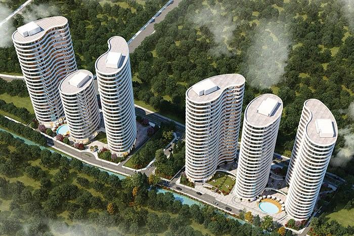Project image 10