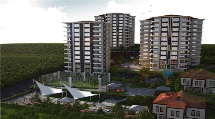 Project image 13