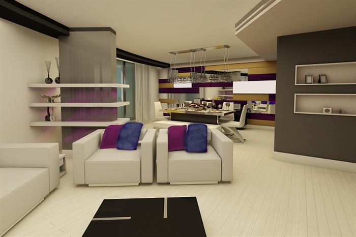 Project image 11