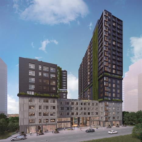 Project image 9