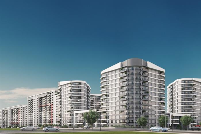 Project image 11